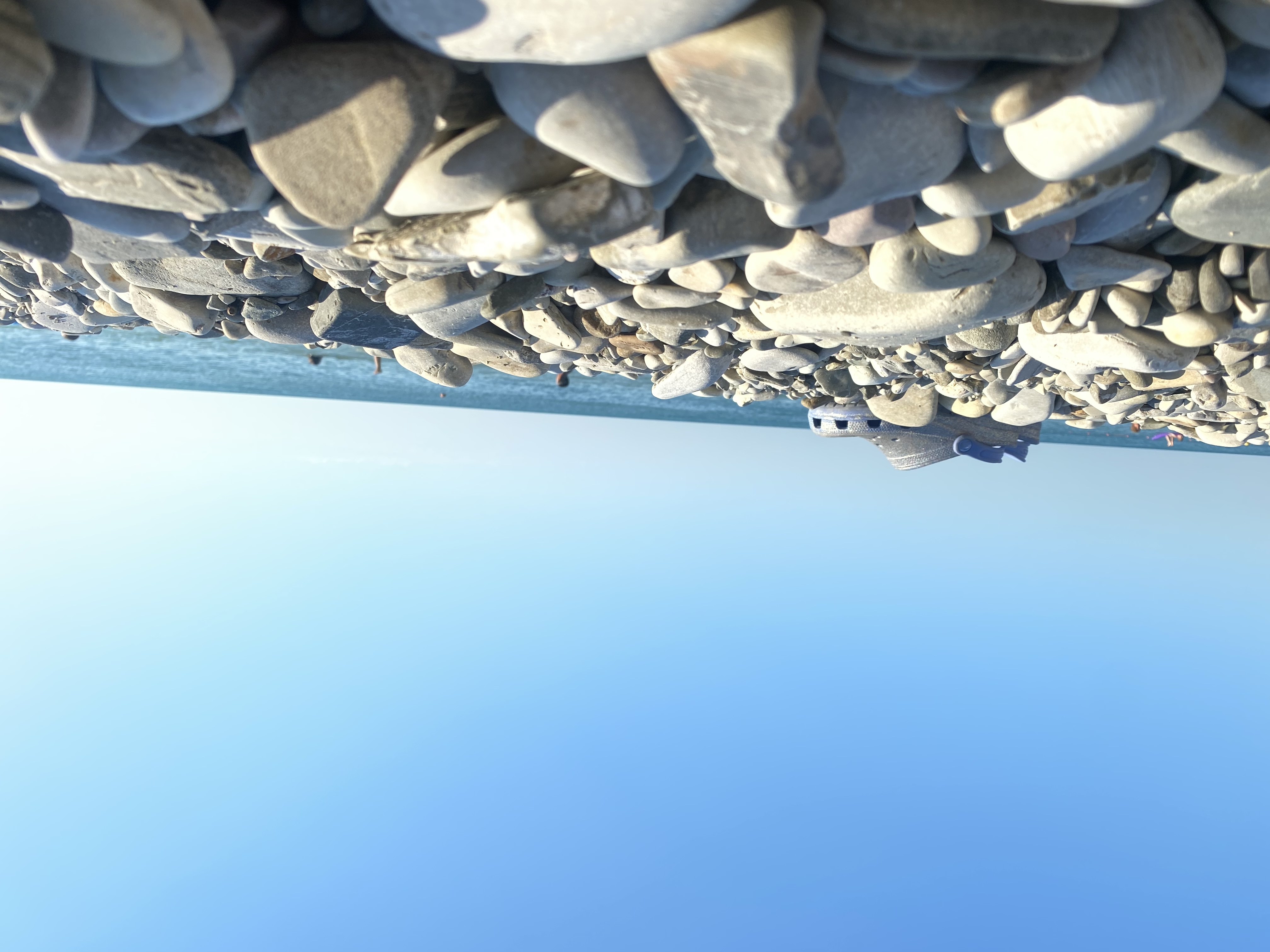 Фото Дружба