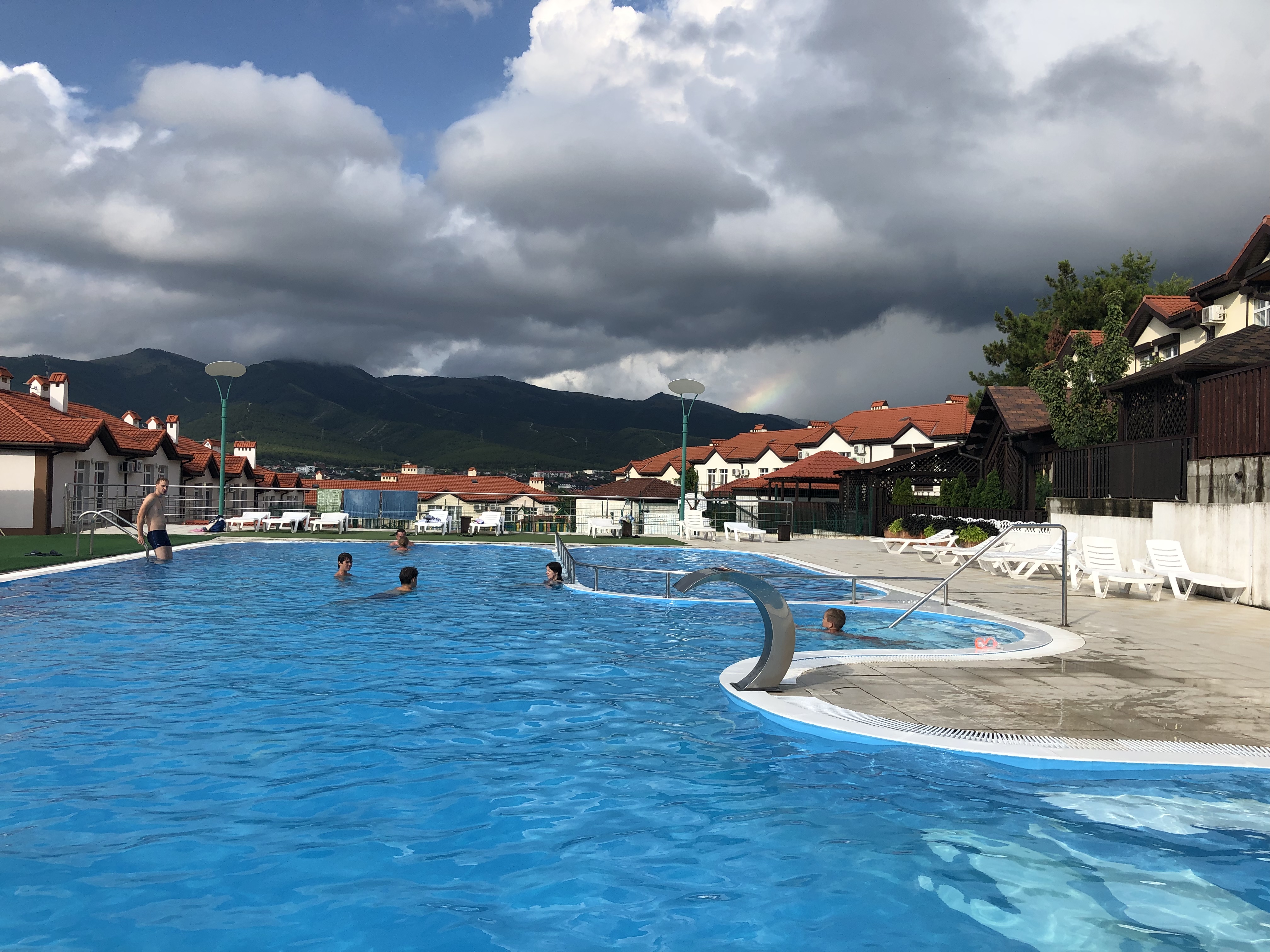 Фото Кедровая роща