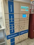 Ozon Box (Aviatsionniy Subdistrict, Akademika Tupoleva Avenue, 9), parcel automat