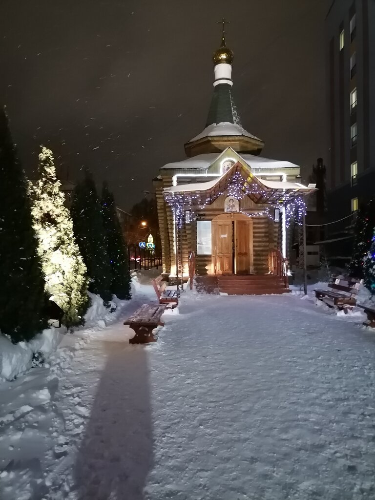 كنيسة أرثوذكسية Church of the Healer Panteleimon ، بريانسك، صورة