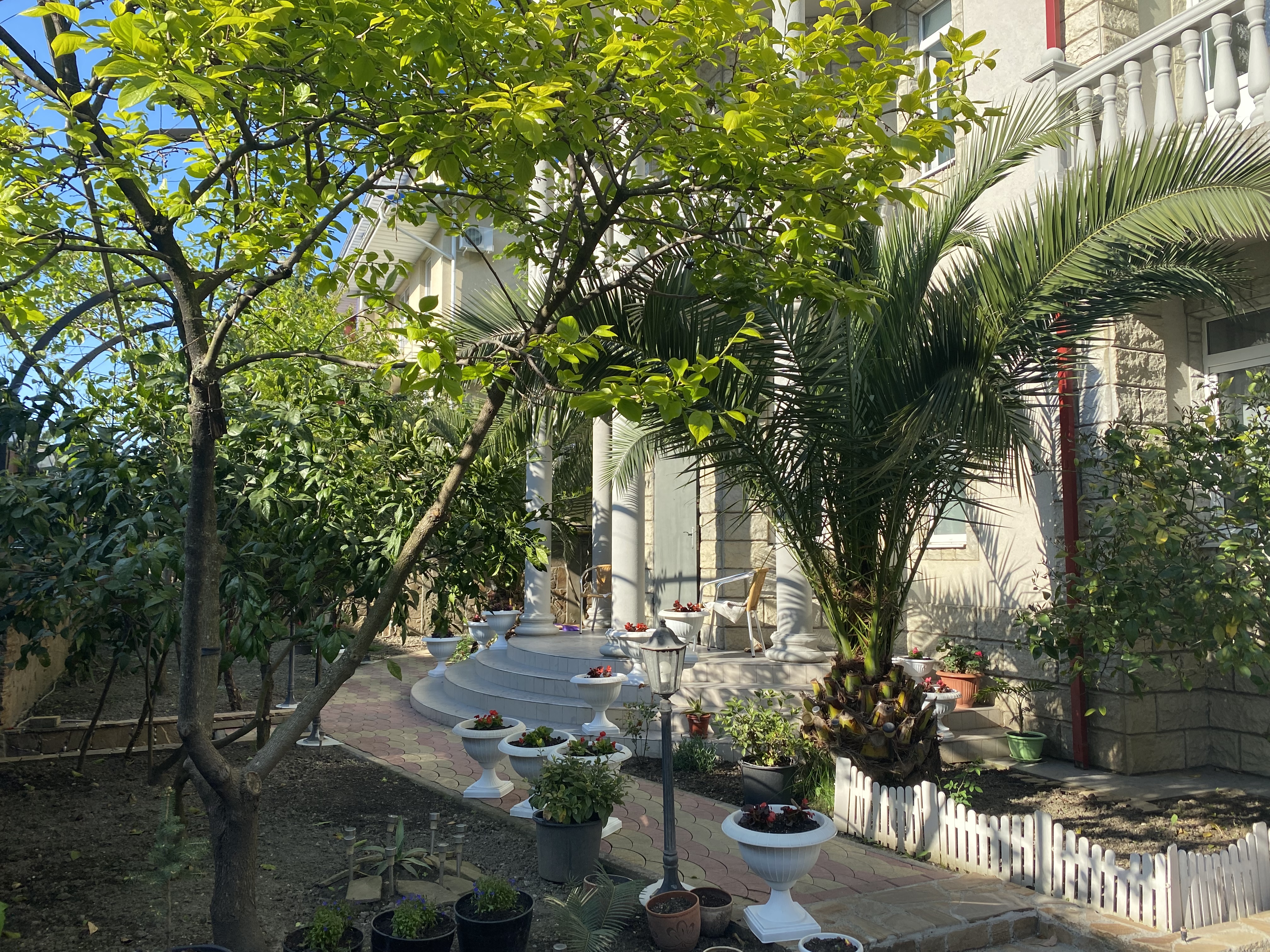 Фото Любава