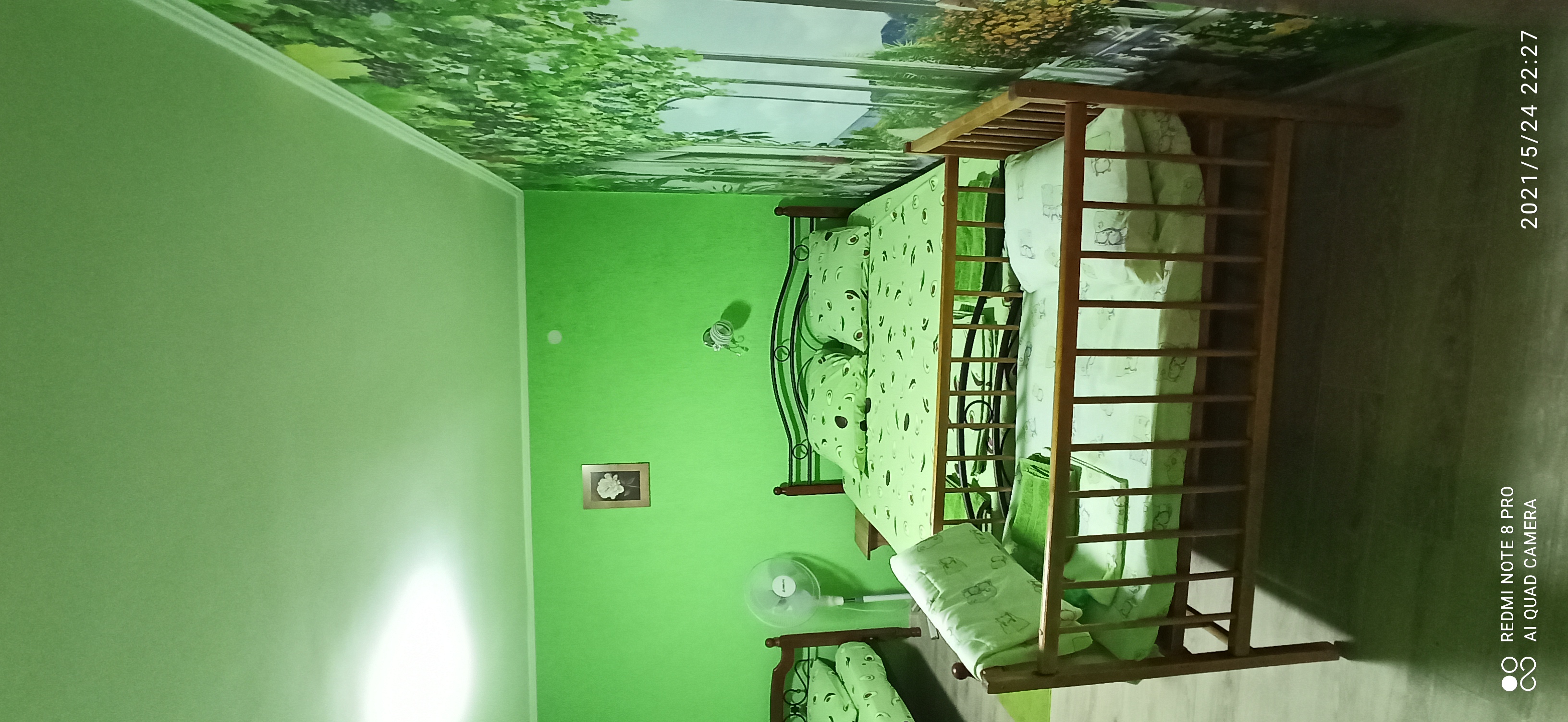 Фото Цветок папоротника