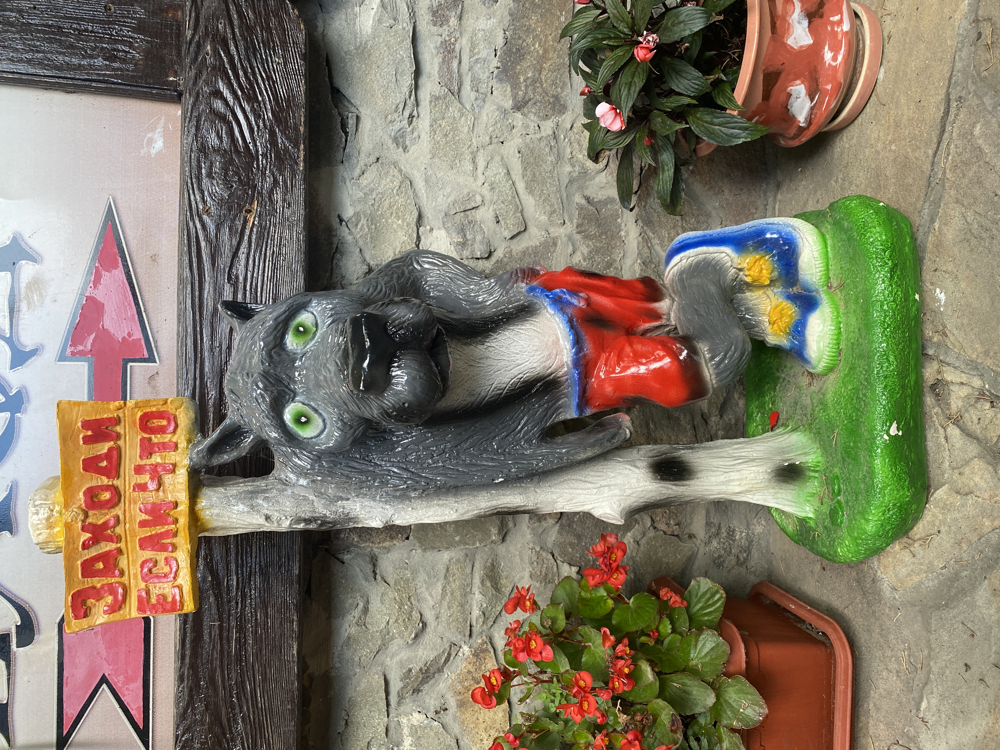 Фото Водолей