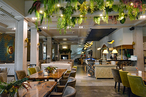 Фото Артиленд