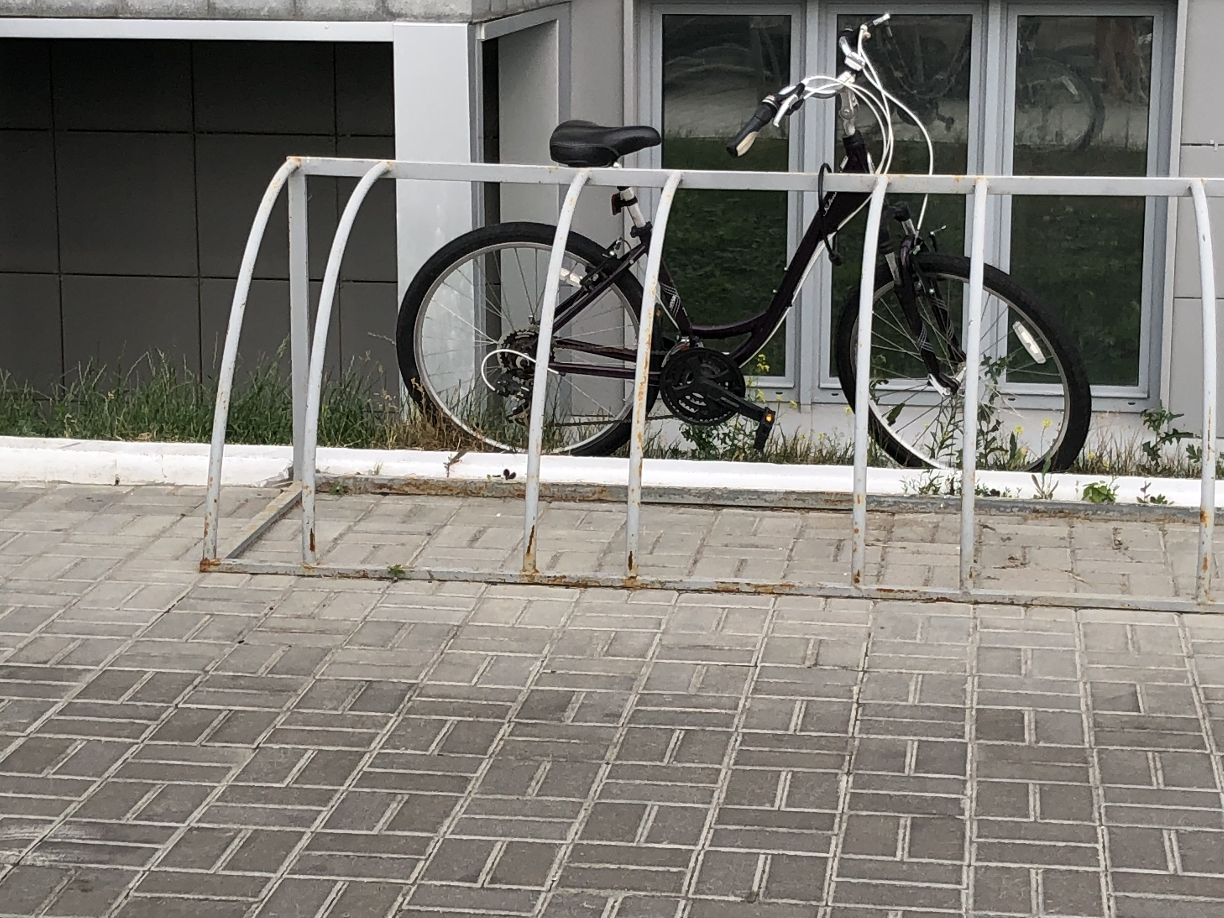 Фото Апартаменты Clever House