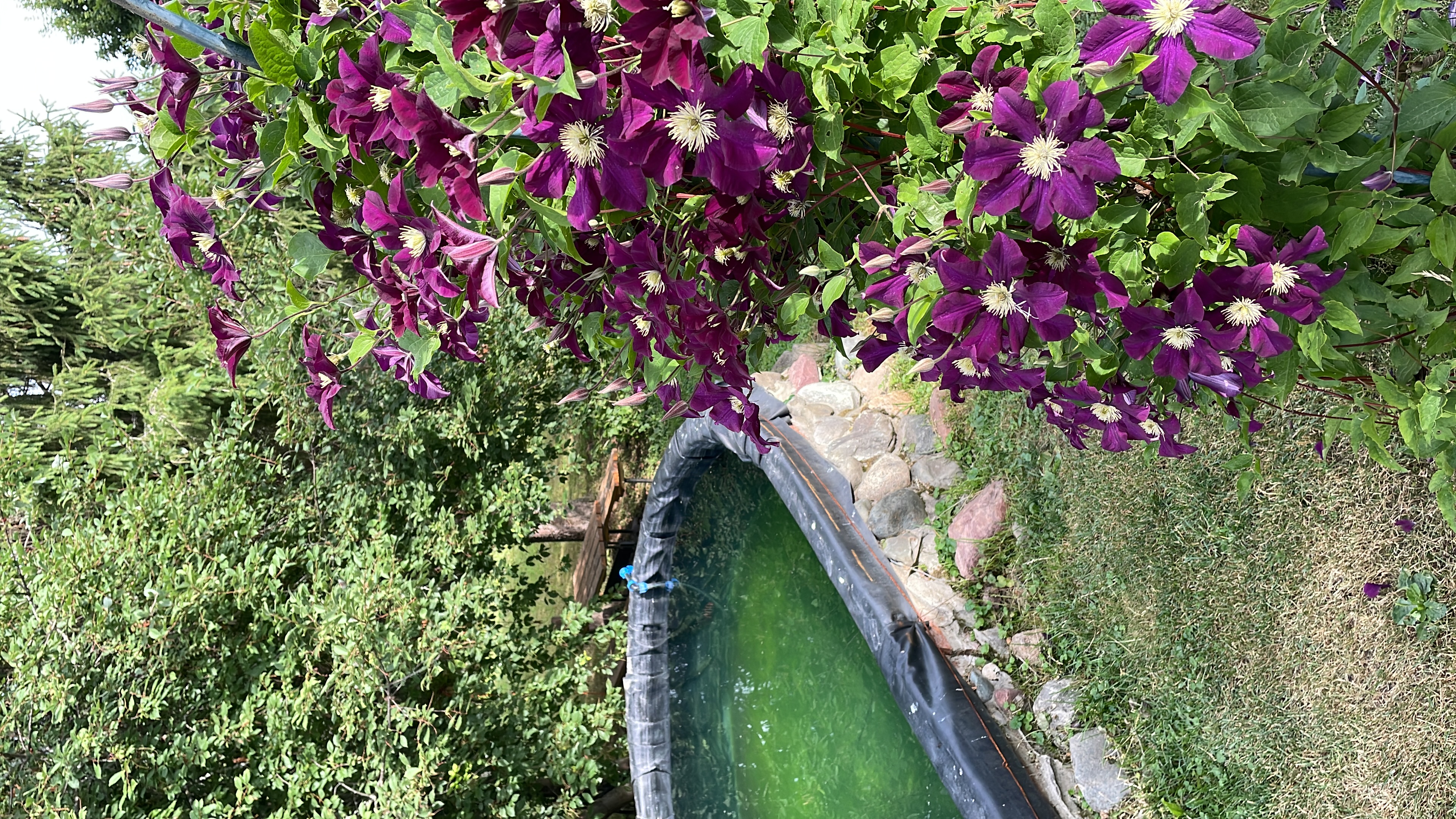 Фото Маришкин дом