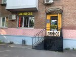 Медвежий угол Живое (Большая Октябрьская ул., 86, Ярославль), магазин пива в Ярославле