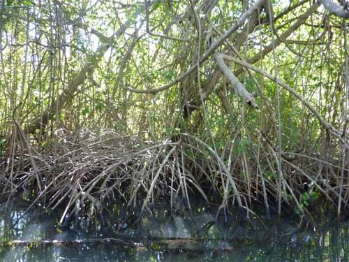 Фото Hotel Restaurant Hamilton Beach Resort