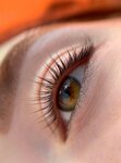 Oko (Krymskaya street, 5), eyebrow and eyelash salon
