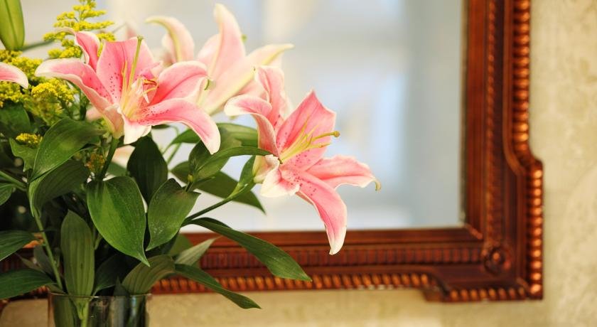 Фото A&em - The Petit Hotel