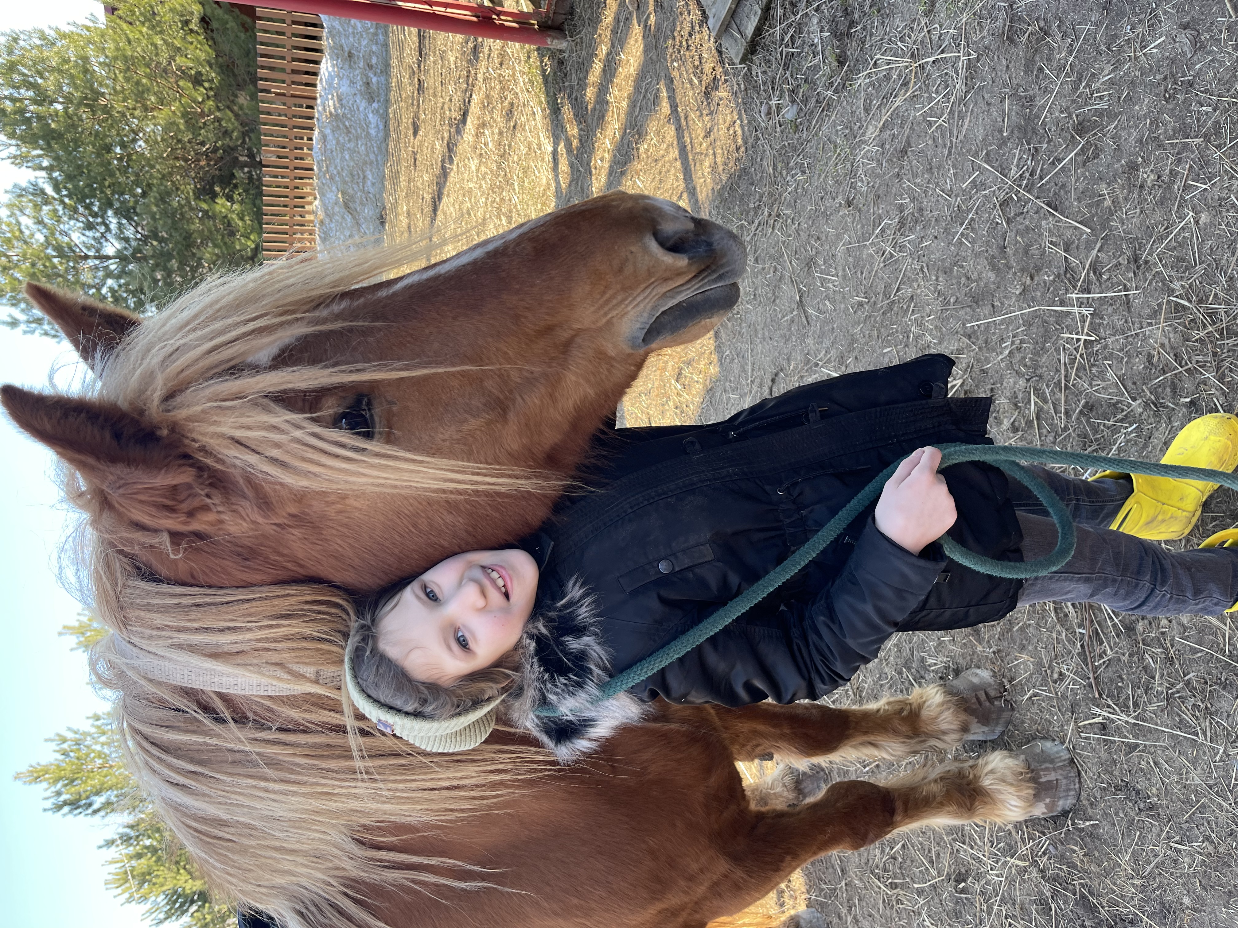 Фото Экопарк Акулово