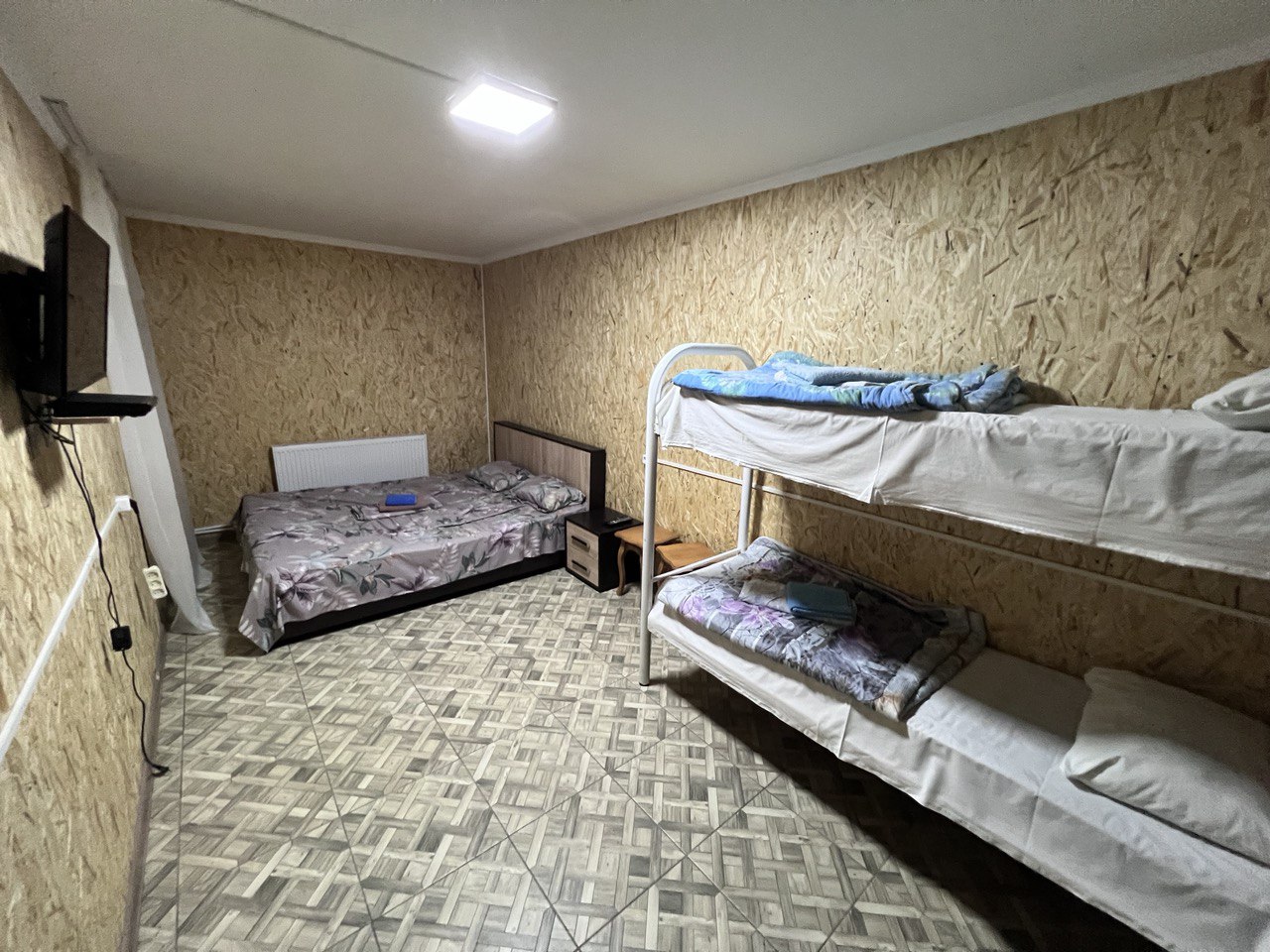 Фото Снежный Барс