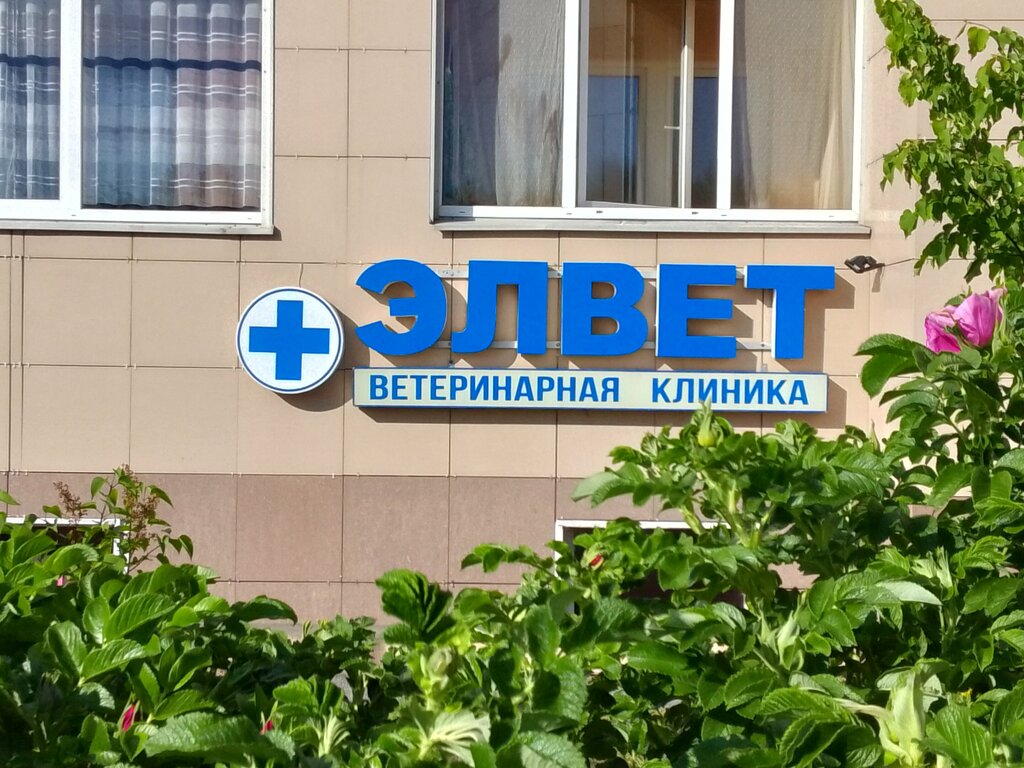 Veterinary clinic Veterinarnaya klinika Elvet, Sestroretsk, photo