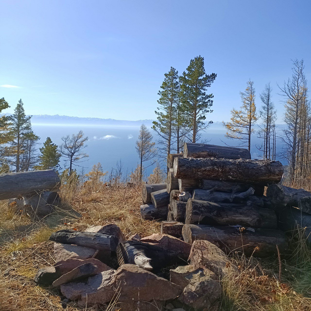 Фото Forest trail