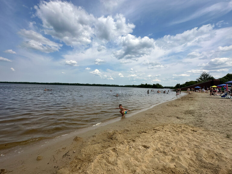 Фото Дача в соснах