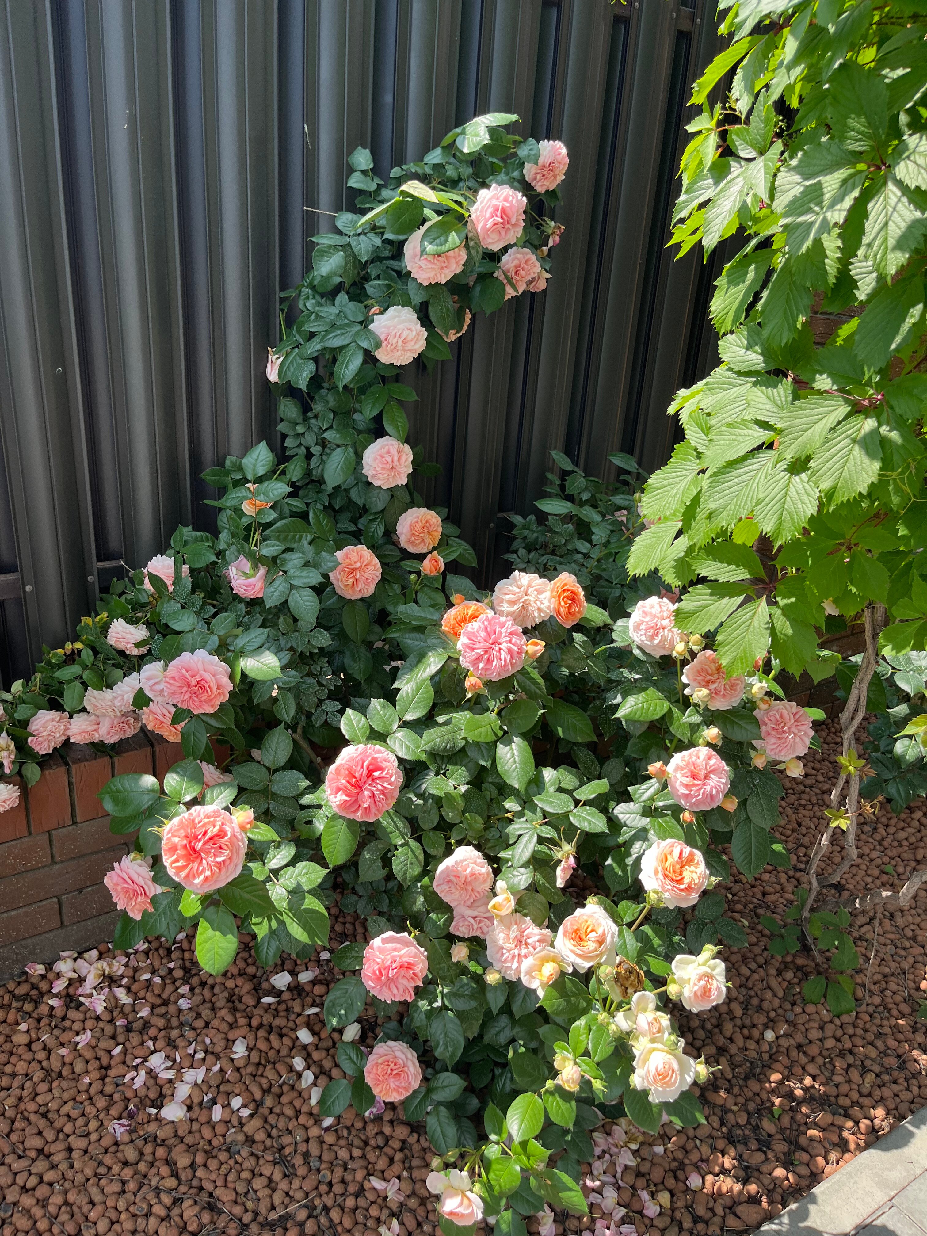 Фото На Волне