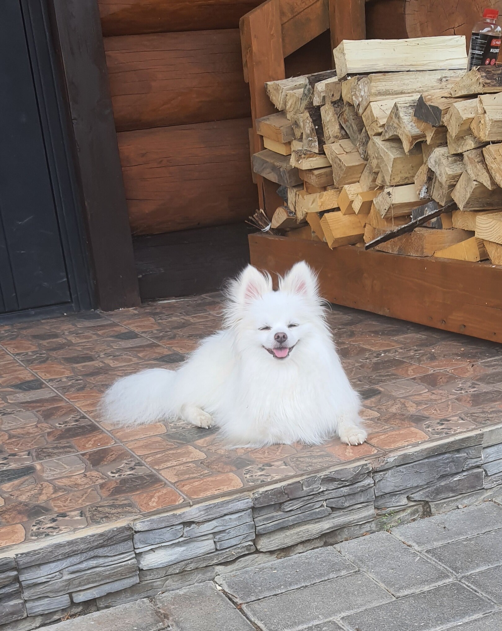 Фото Усадьба Большой Камень