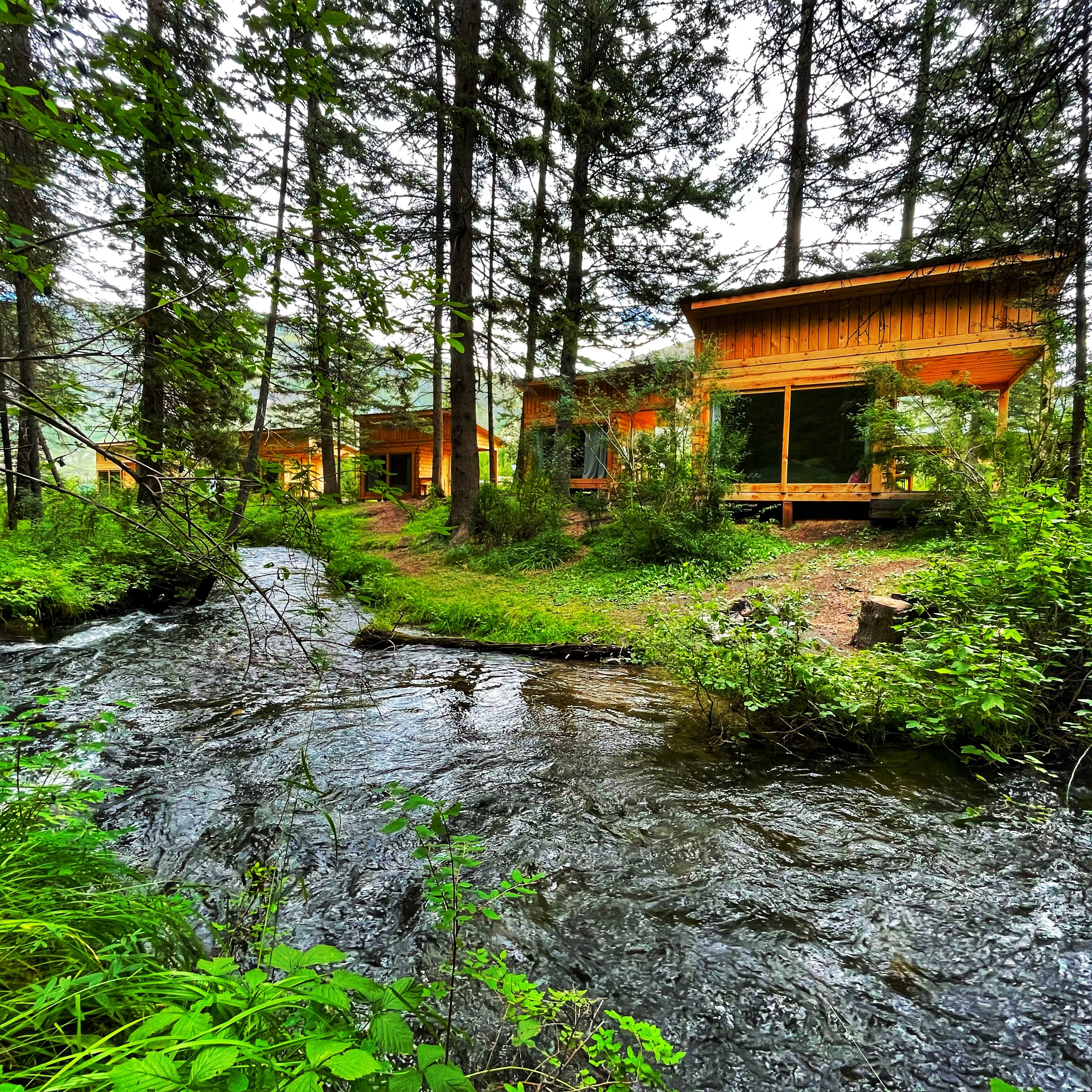 Фото Зелёный колобок