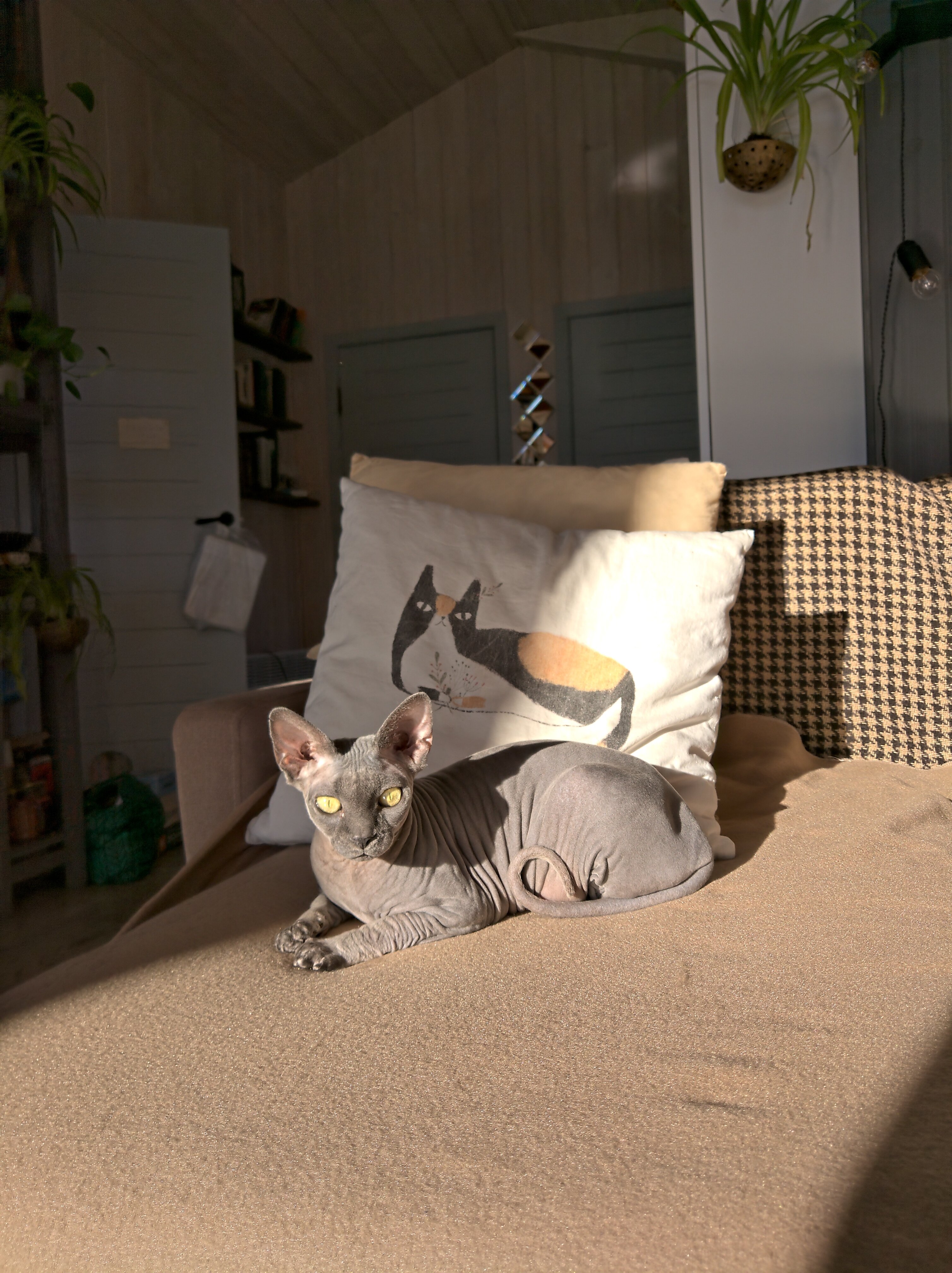 Фото The. Small. Hill. House