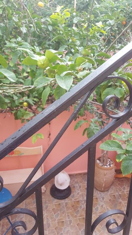 Фото Studio Lefaki