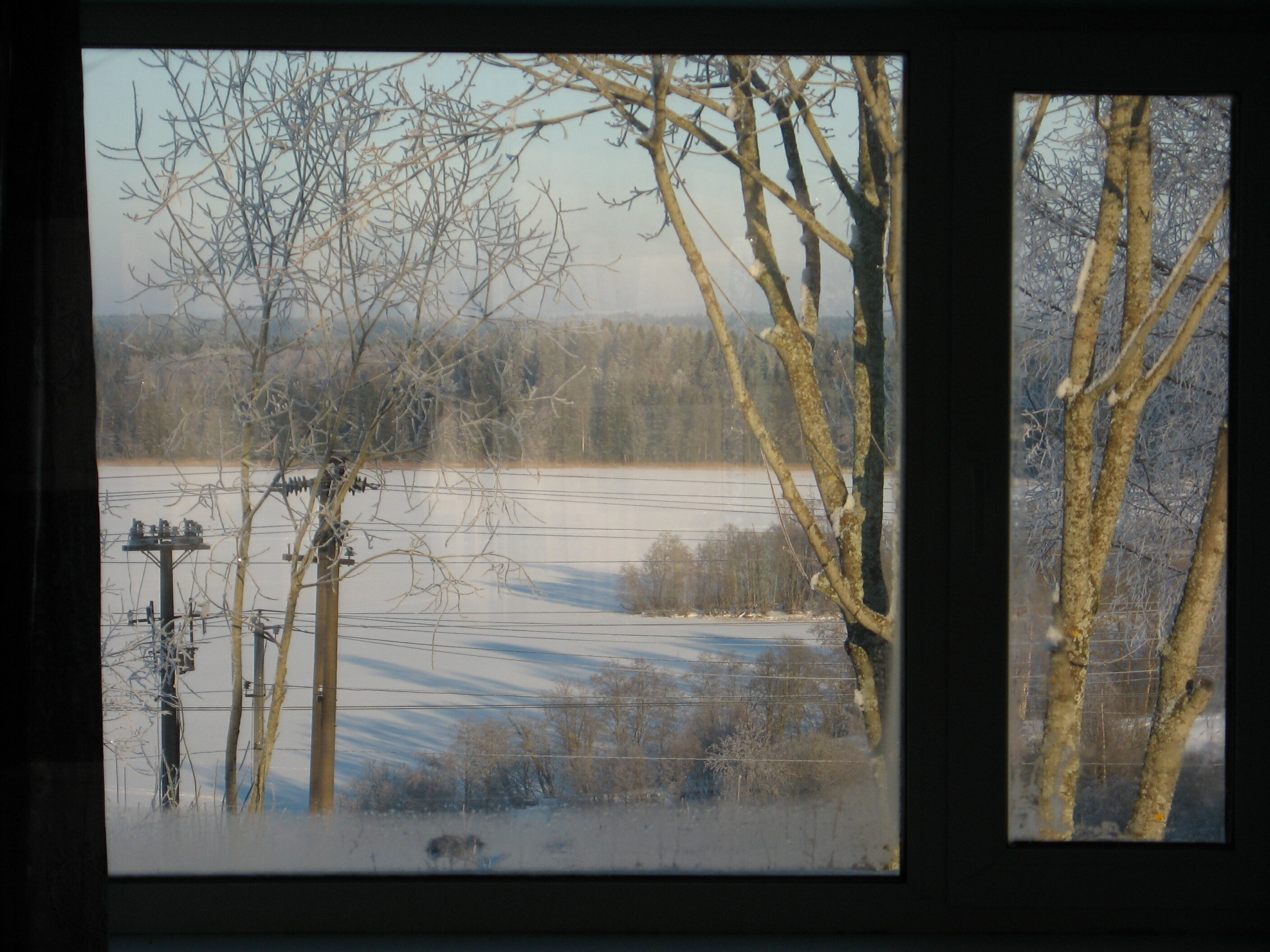 Фото Зимнегорье