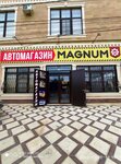 Magnum (Trudovaya ulitsa, 28), tienda de repuestos y artículos para automóviles