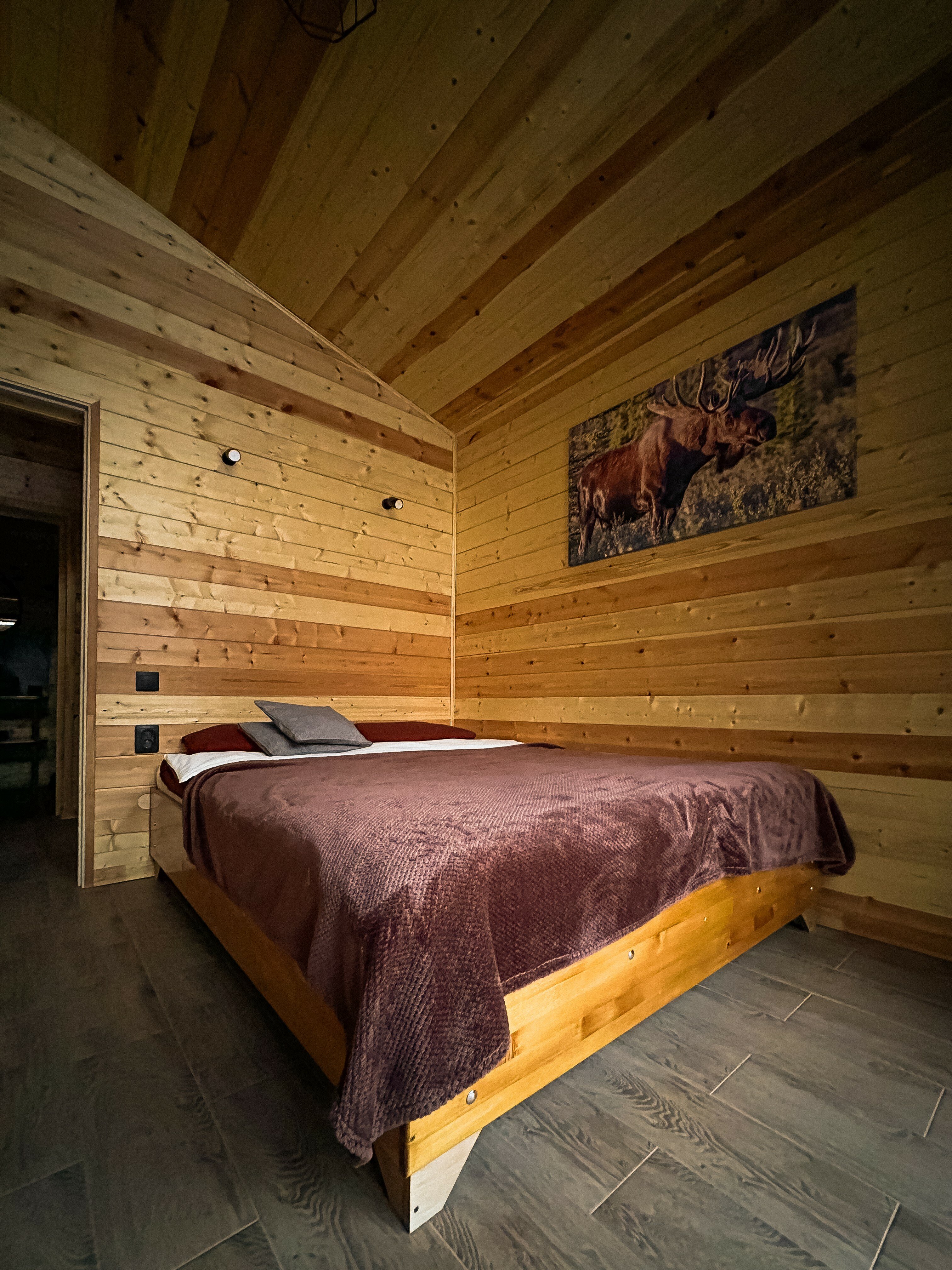 Фото Два Лося