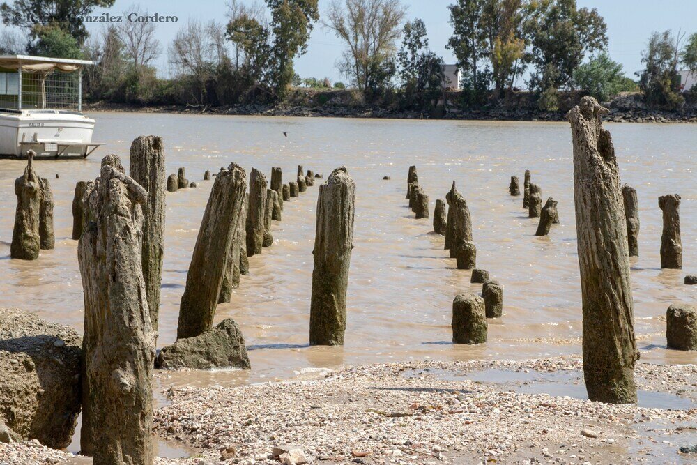 Фото Vivienda Rural el Retorno