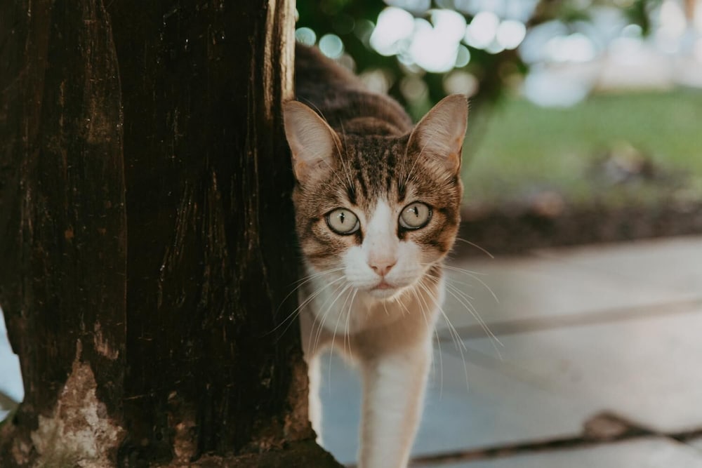 Фото Drifter Hostel