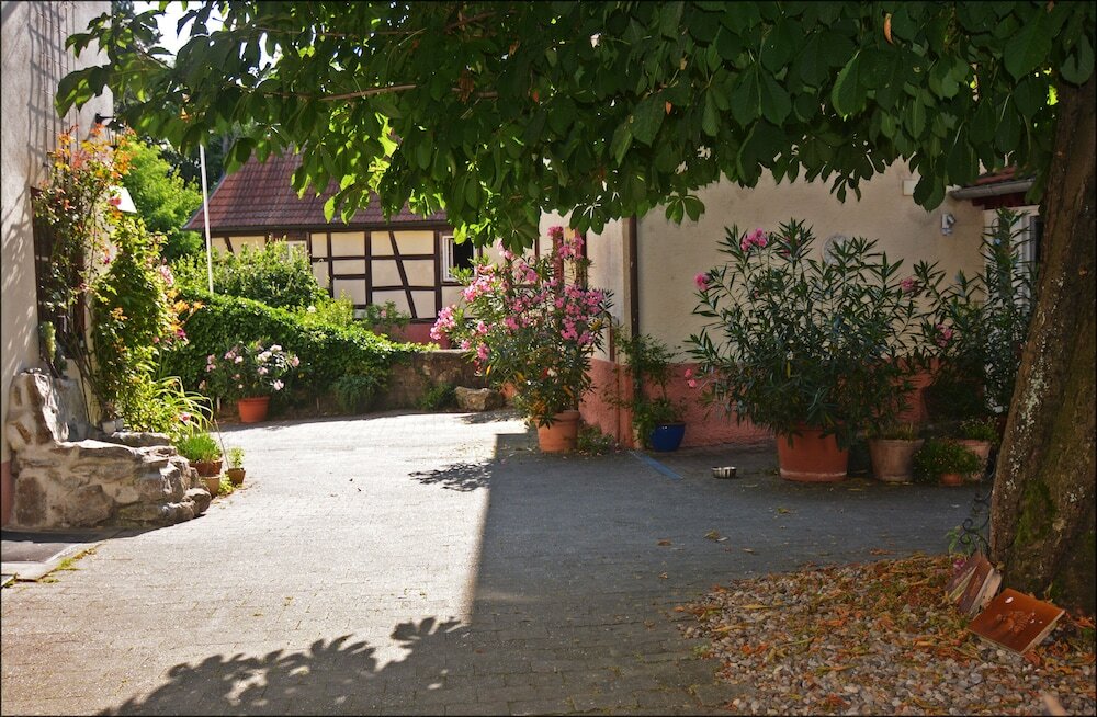 Фото Hotel Herberge zur Traube