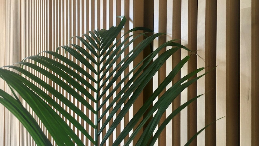 Фото Md Modern Hotel - Jardines