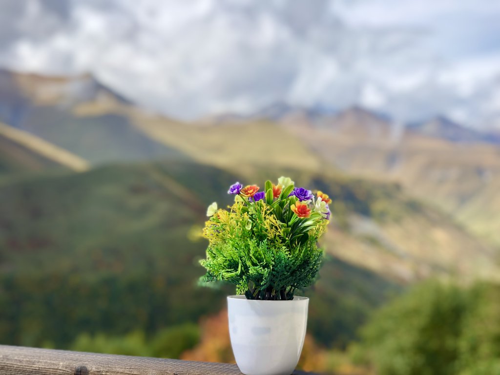 Фото N-House Veranda