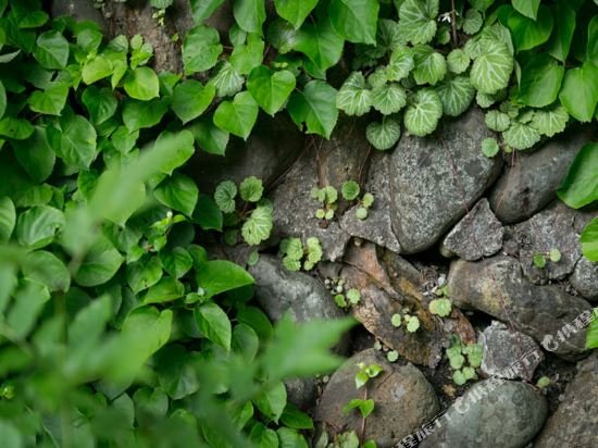Фото Natsuse Onsen Miyakowasure