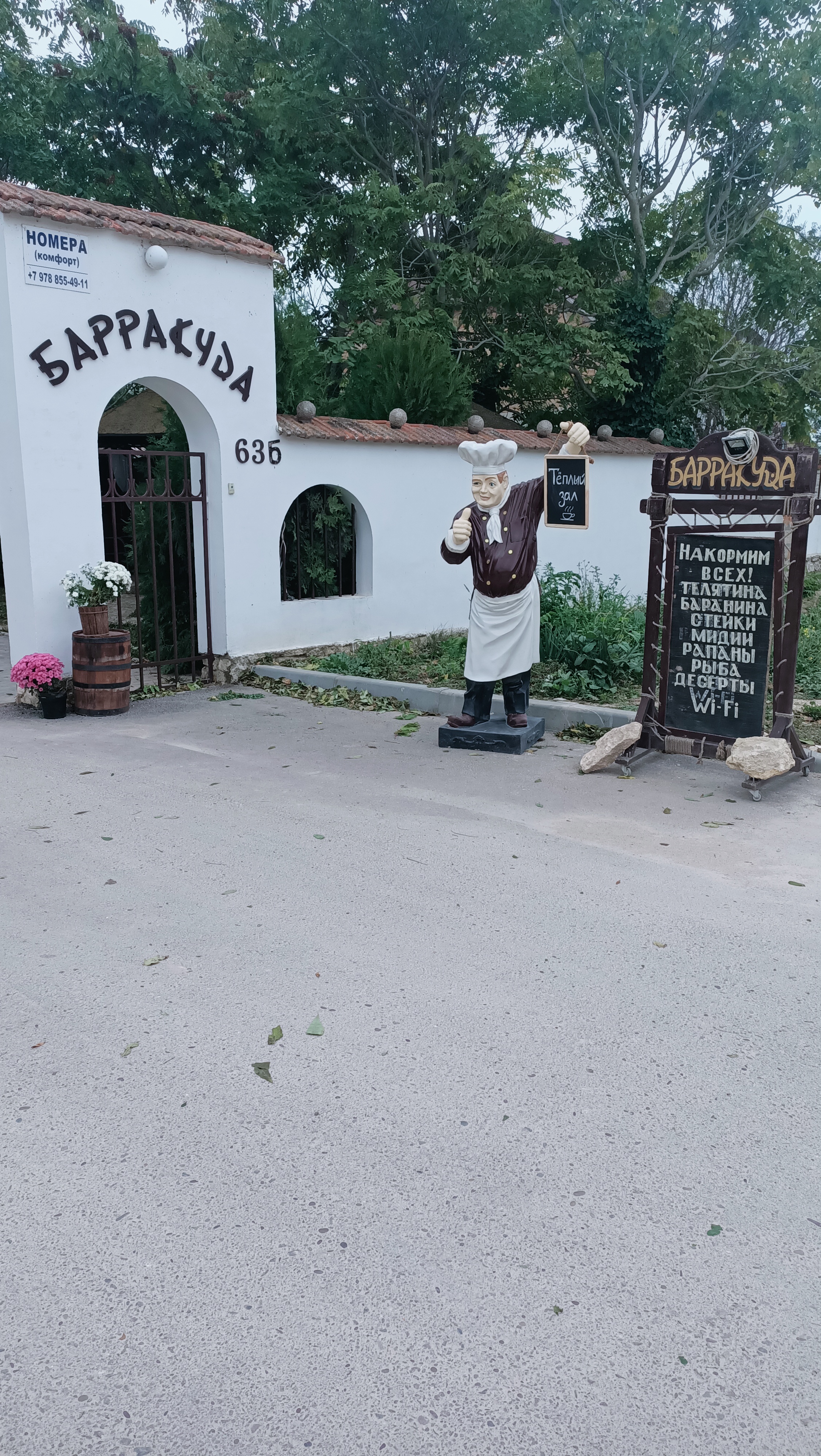 Фото Барракуда