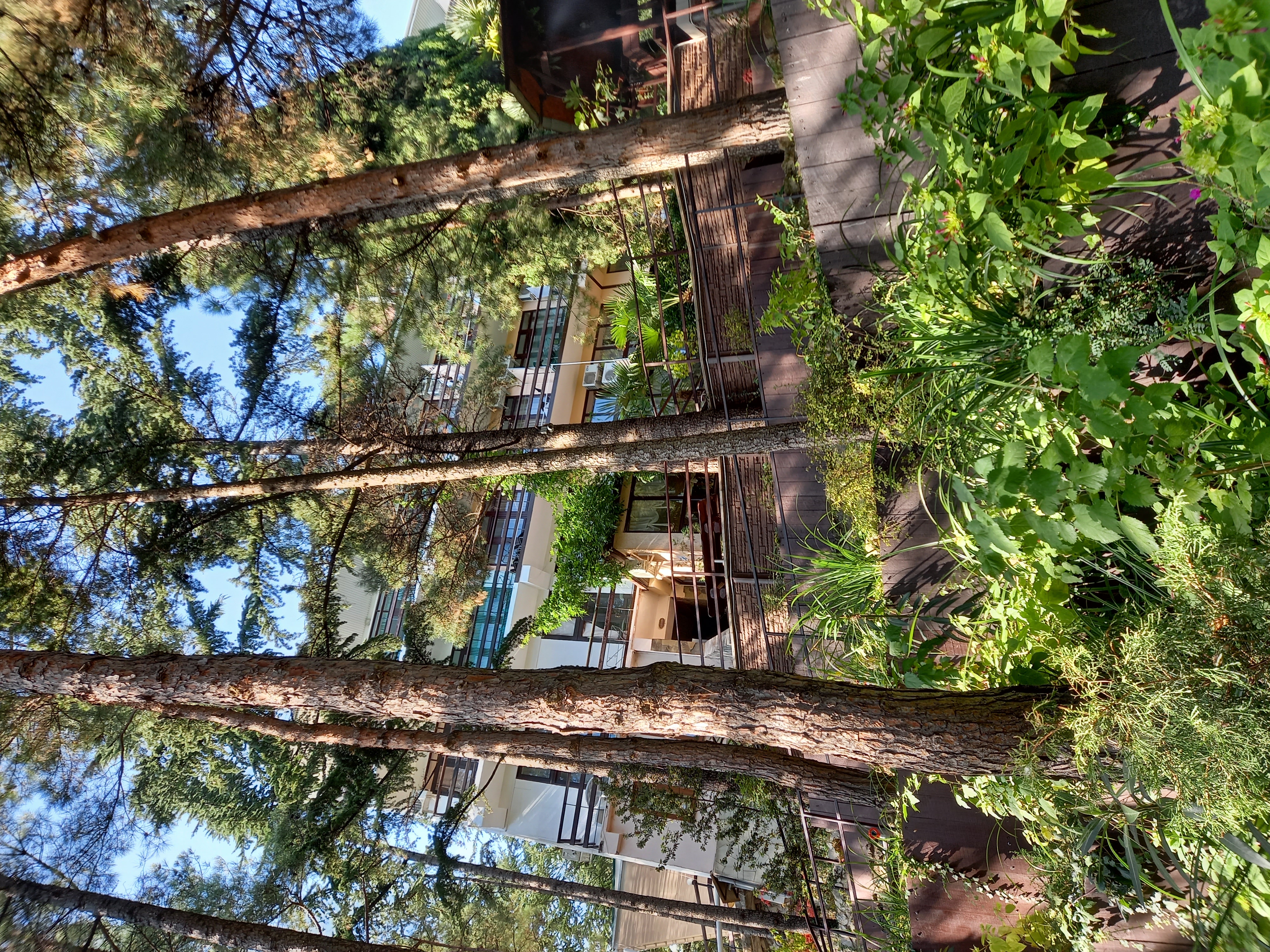 Фото Морской бриз