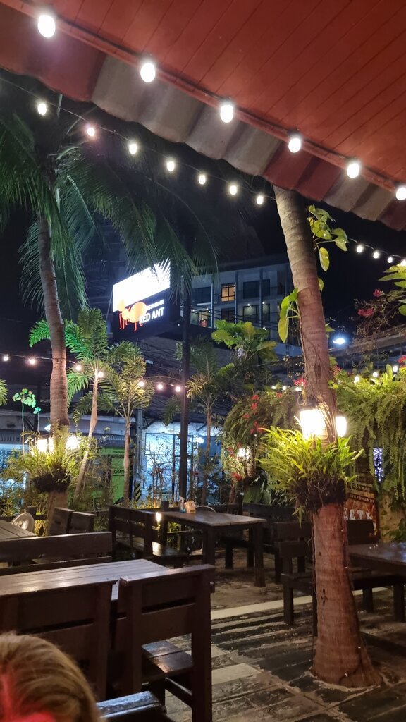 Cafe Красный Муравей, Pattaya, photo