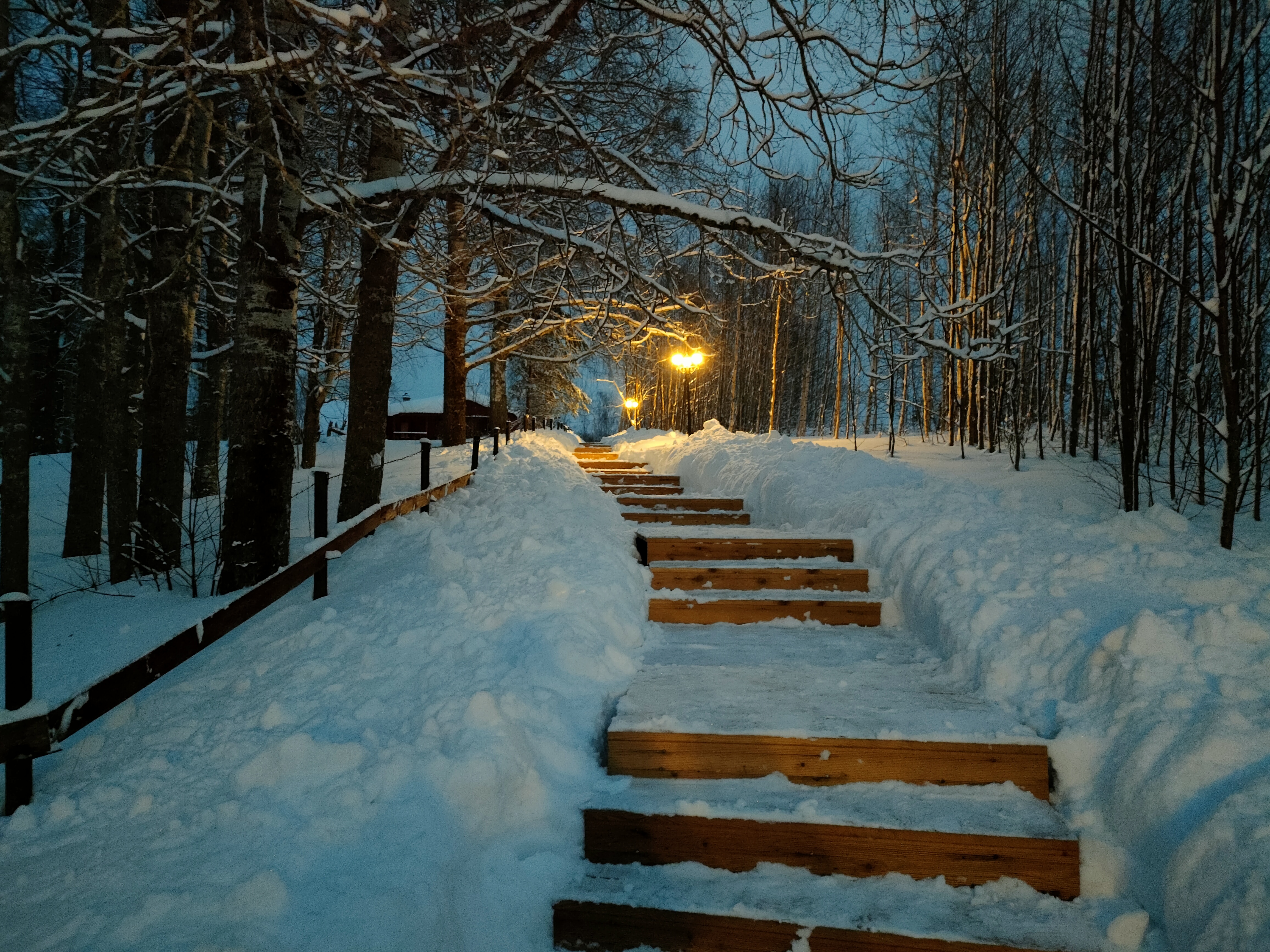 Фото Forrest Lodge Karelia