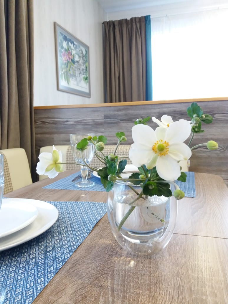 Фото Мацеста Береговая