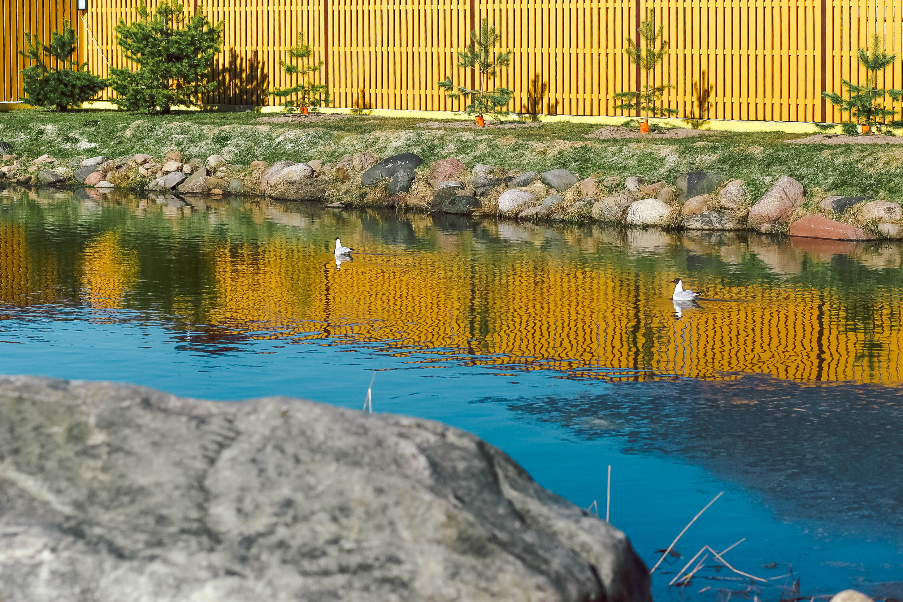 Фото Гостевой дом Новая Ладога