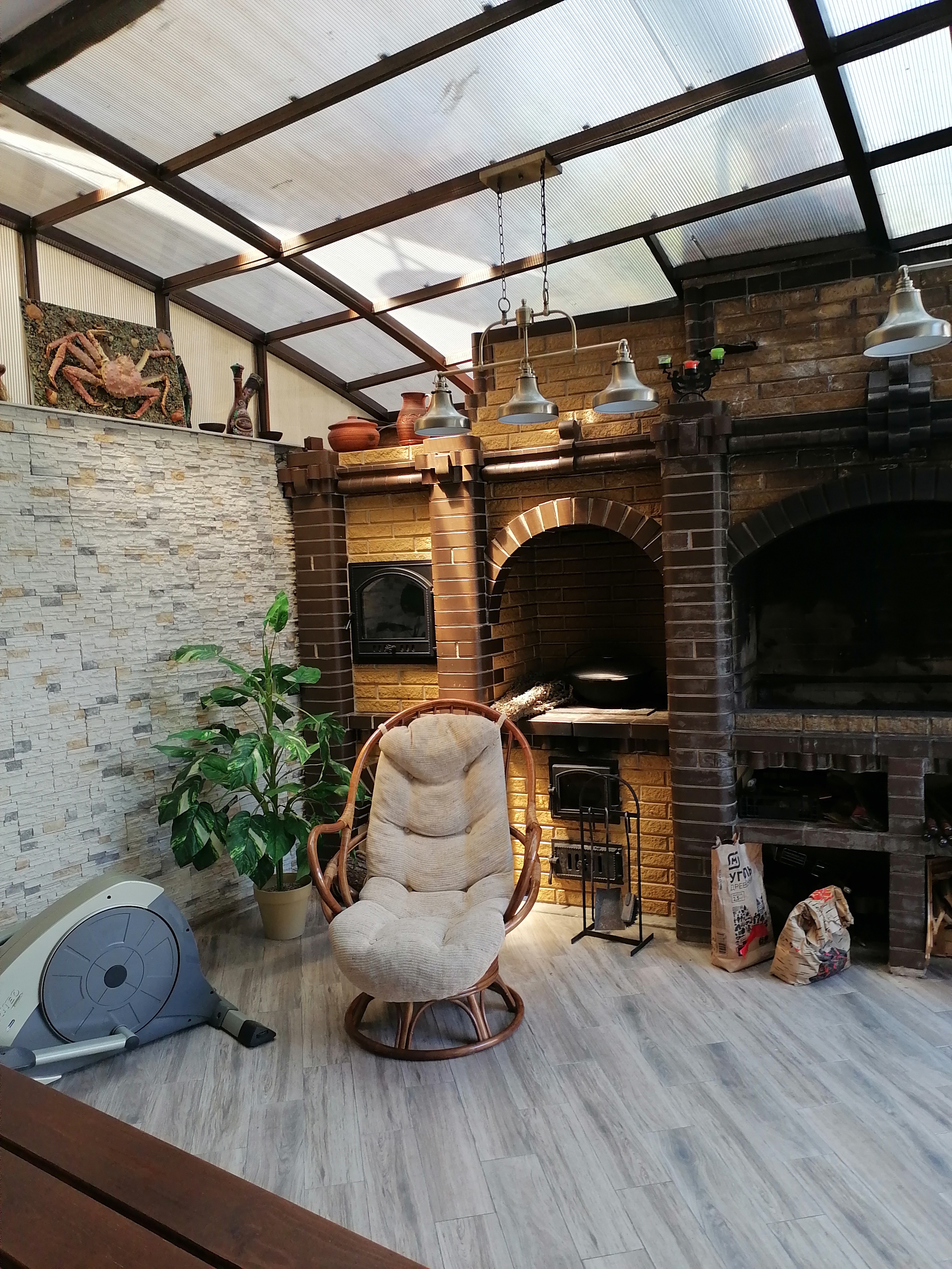 Фото Золотая рыбка