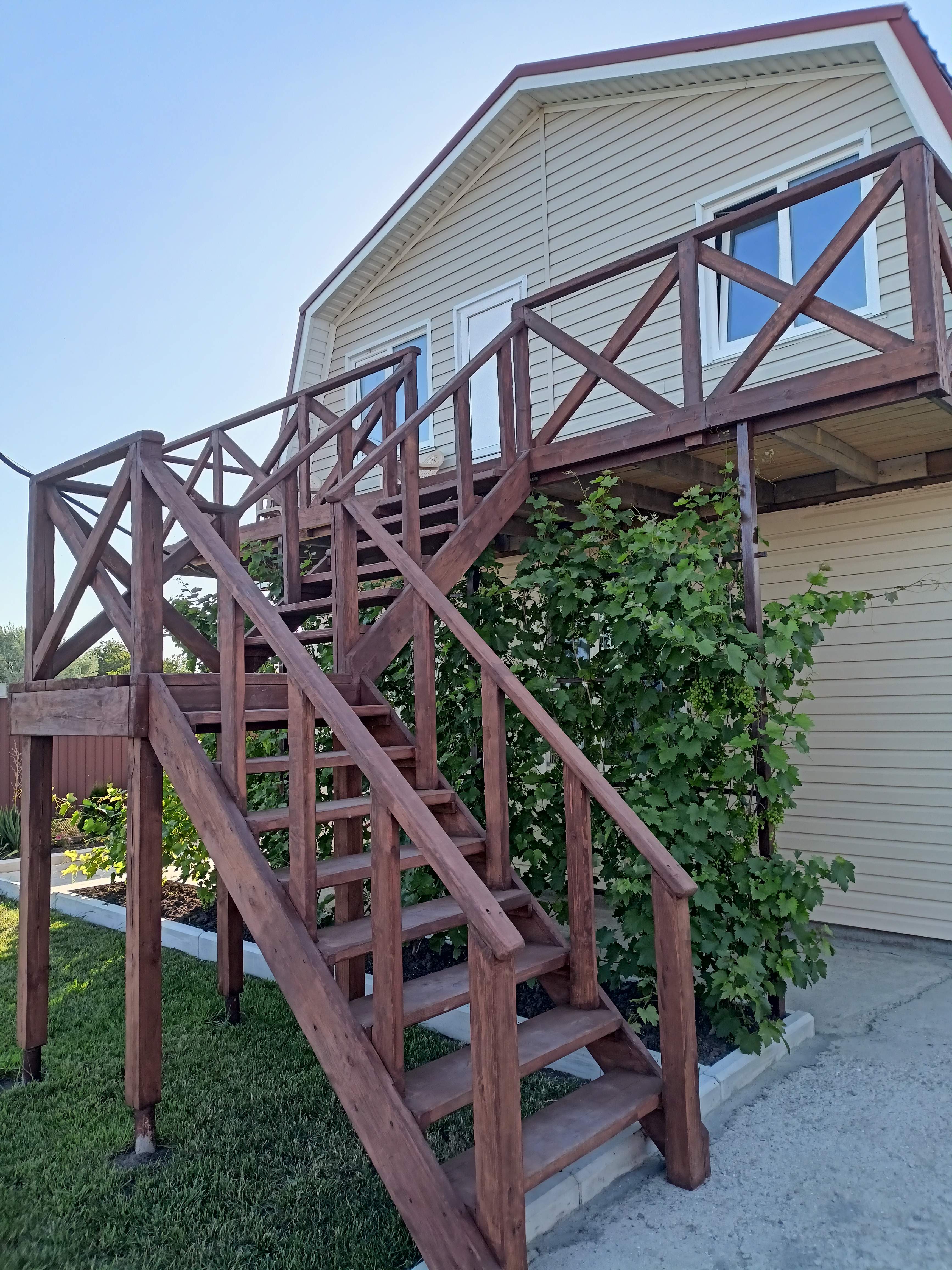 Фото 38 Попугаев