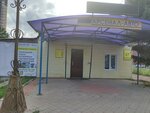 Arsenal-Avto (Kalinina Street, 47Дс5), tienda de repuestos y artículos para automóviles