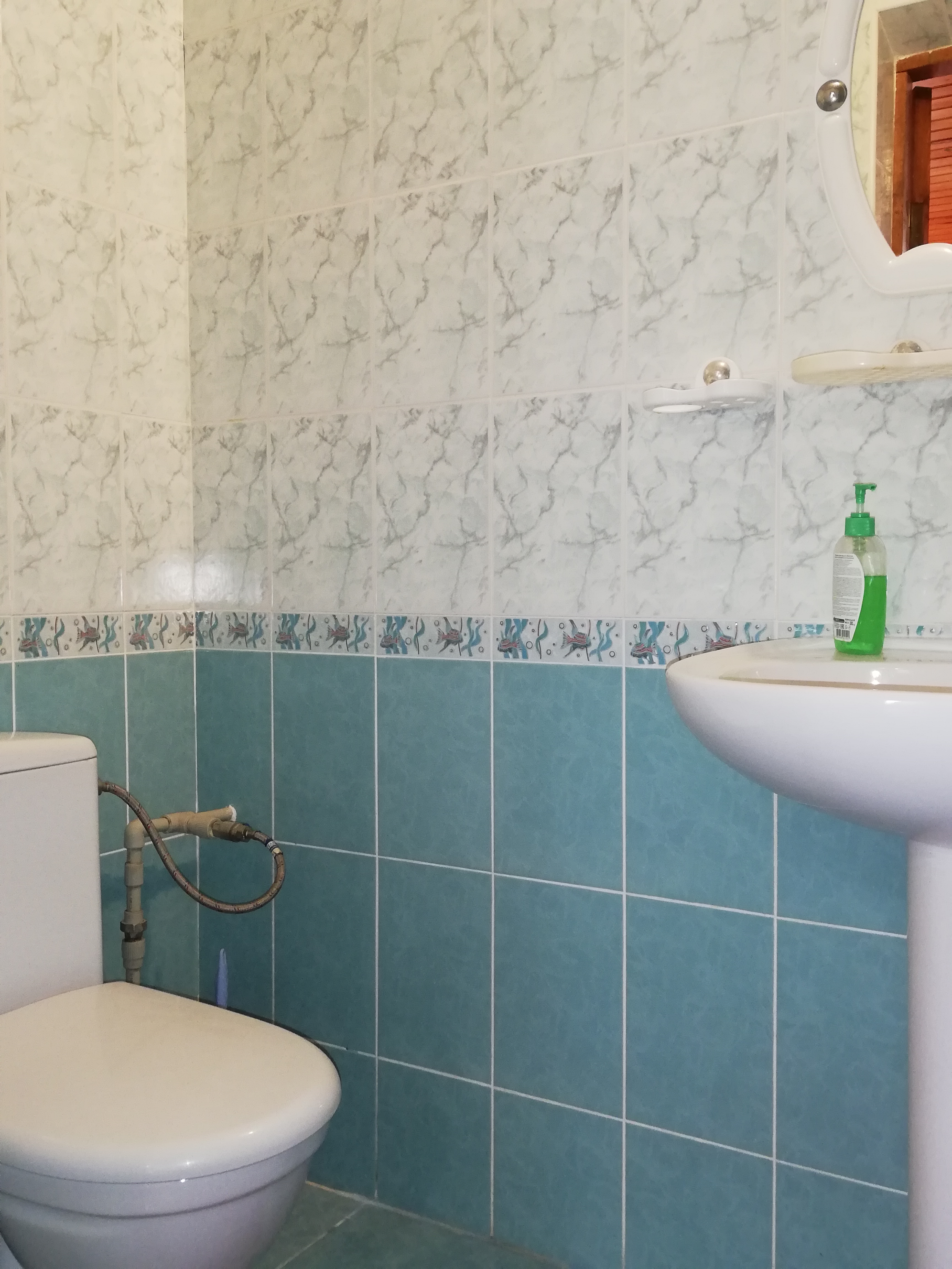 Фото Глициния