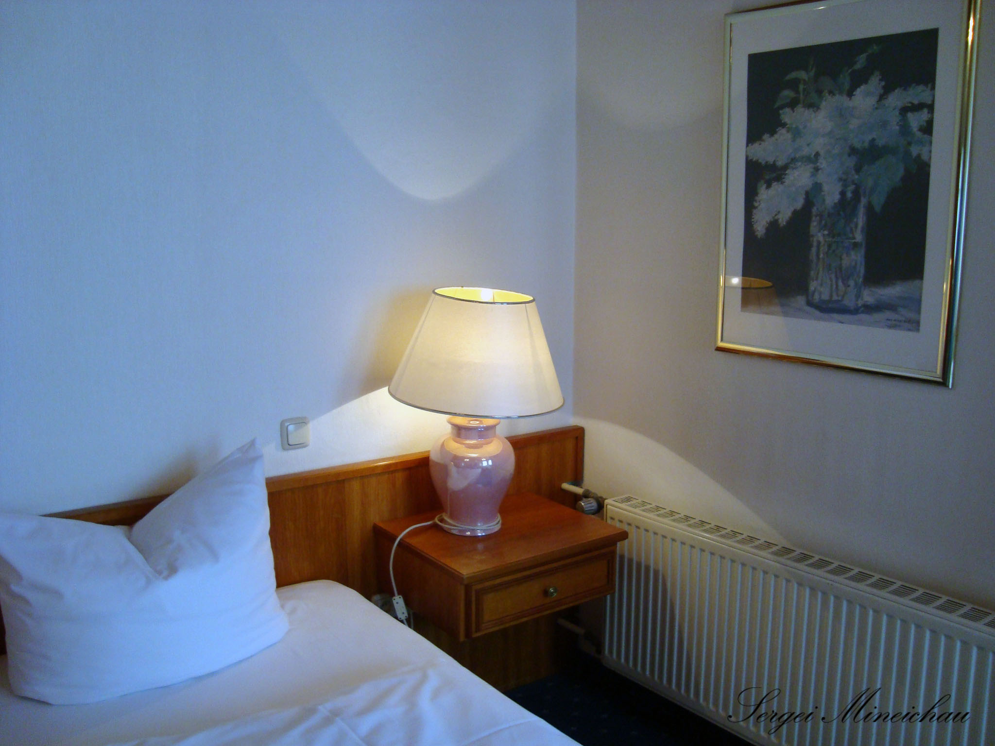 Фото Wittelsbacher Hof Swiss Quality Hotel