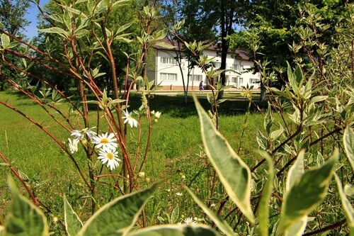 Гостиница S7 Hotel Bityagovo в Домодедово