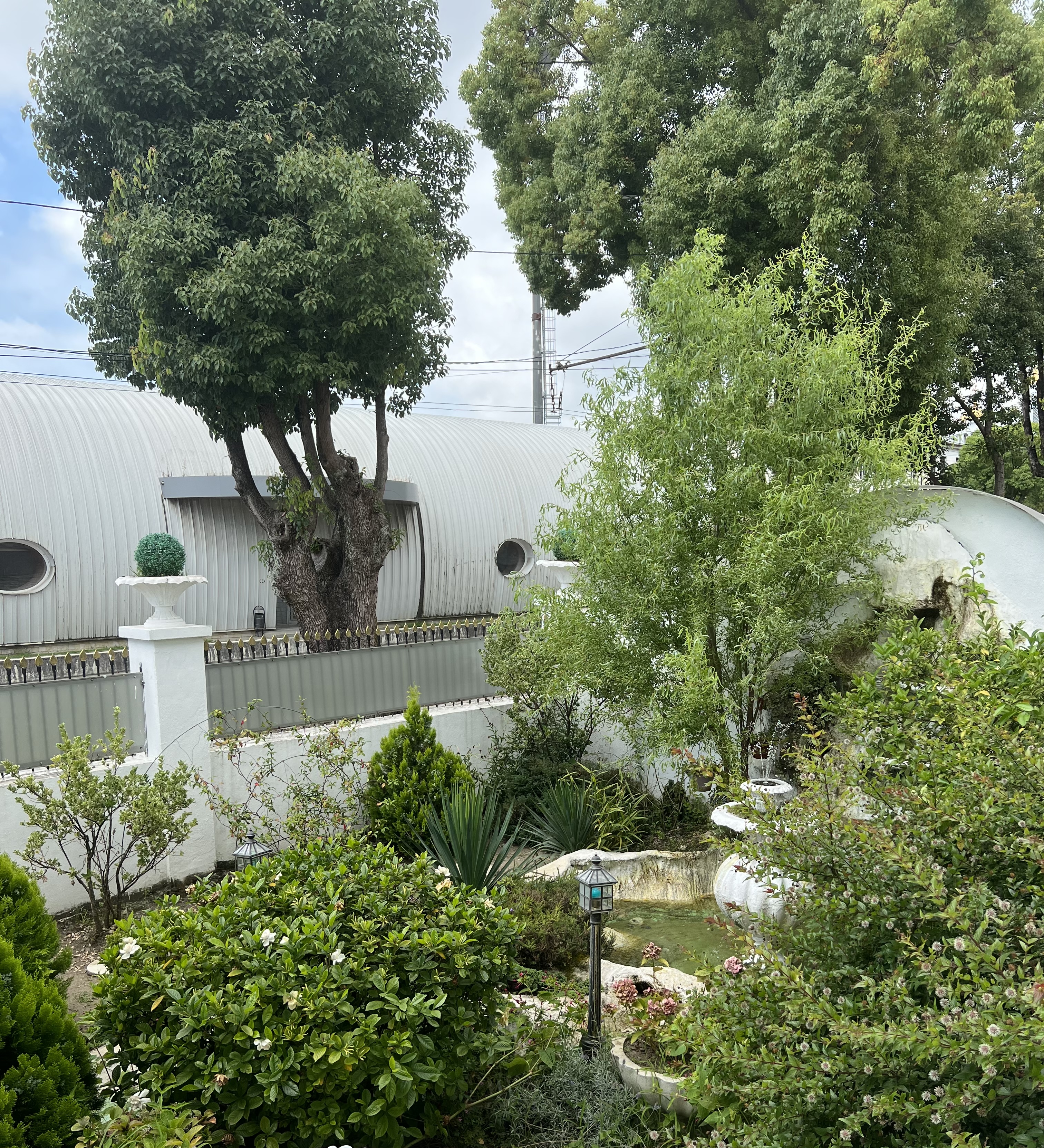 Фото Белый дом балерины