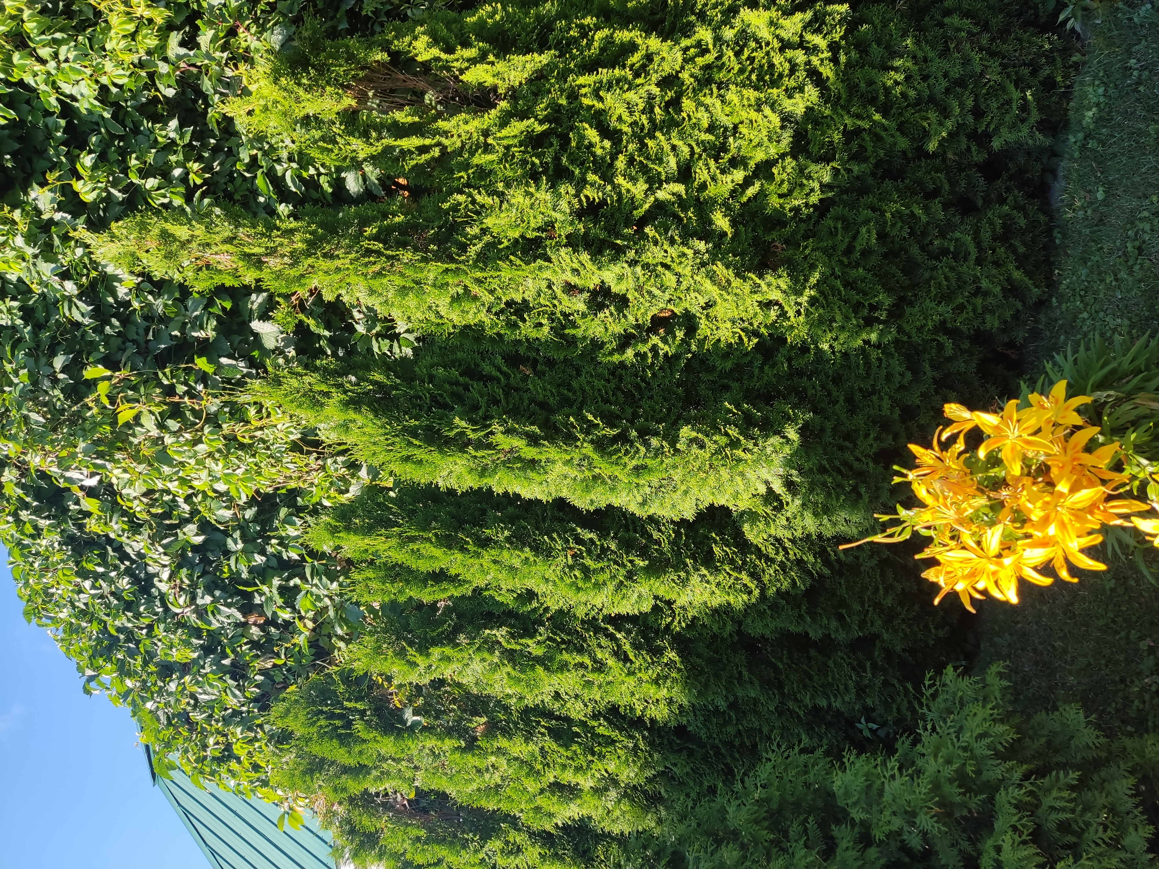Фото Гостиница Алпатьево