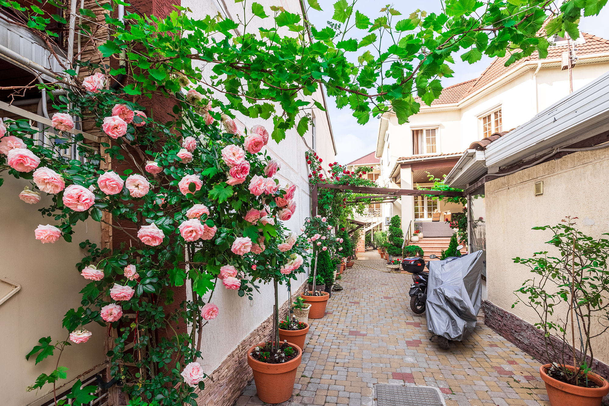 Фото Евгения