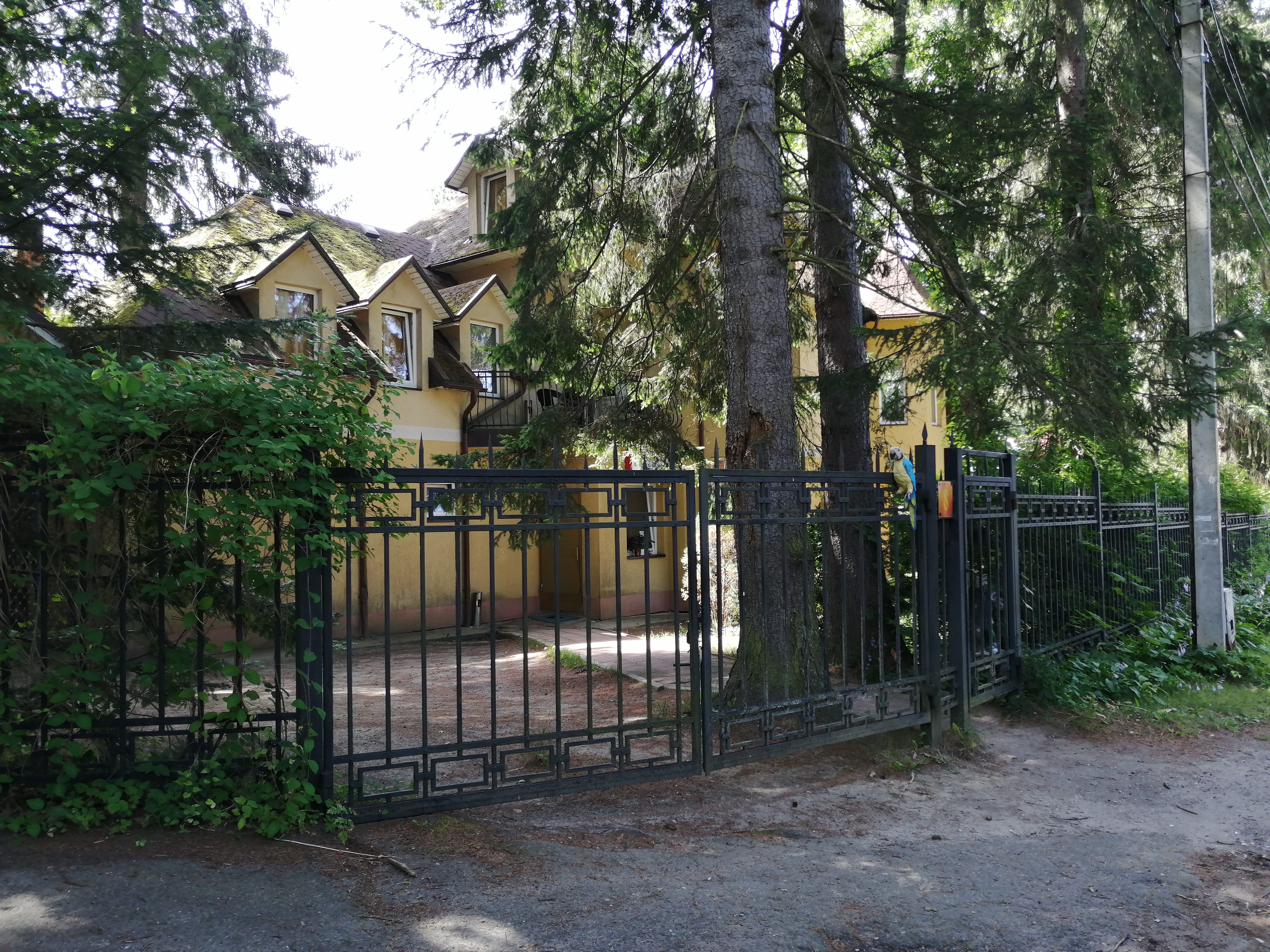 Фото Навигатор