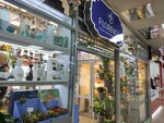 Флоренция (Babushkina Street, 104), flower shop